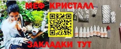 стаф Кандалакша