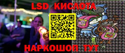 apvp Камышлов