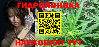 стаф Кандалакша