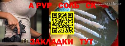 apvp Камышлов