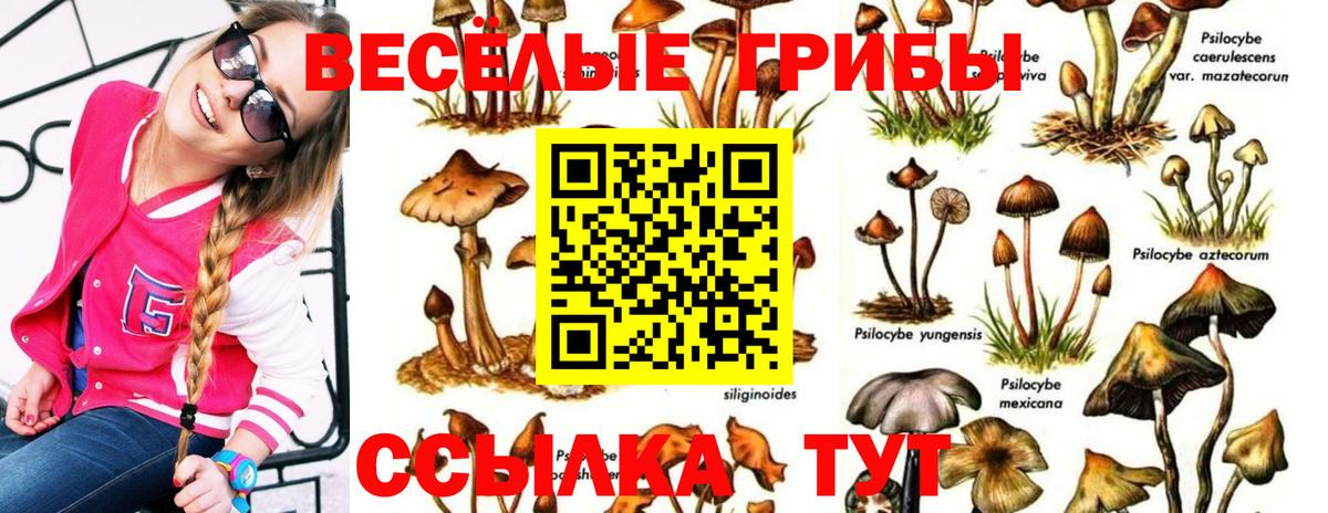 Галлюциногенные грибы мицелий  Вход с VPN  Комсомольск-на-Амуре  Галлюциногенные грибы Cubensis 